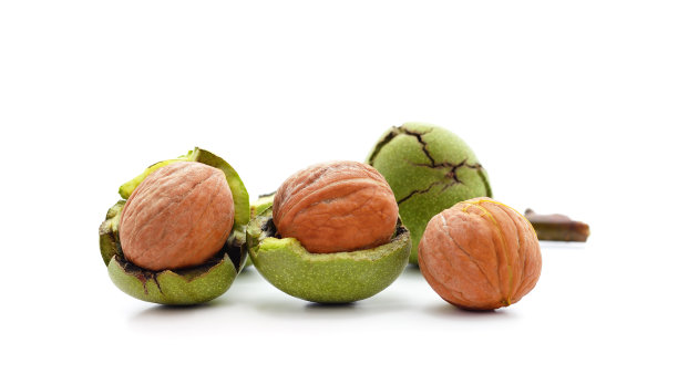 一组绿色坚果。图片下载