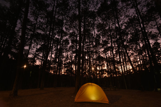 森林的和平图片下载