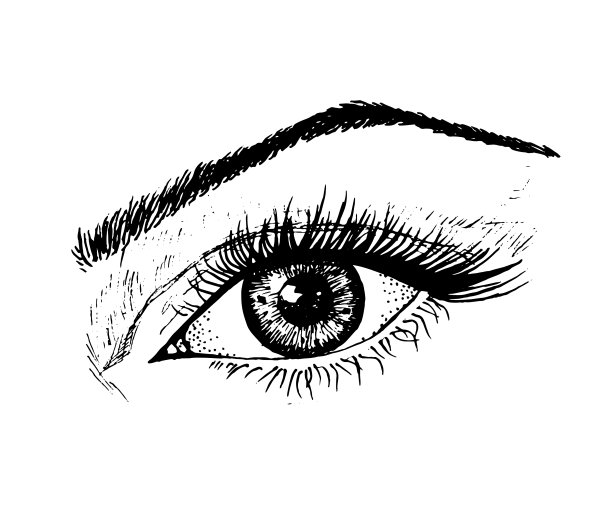 女性的眼睛。人体生物学，器官解剖学说明。手工雕刻的老素描和复古风格。脸详细的眼睛或观点或看图片下载