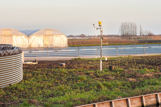 荷兰博斯库的一个树木苗圃上的气象站图片下载