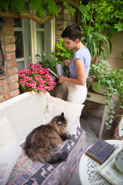 年轻快乐的女人浇花园植物图片下载