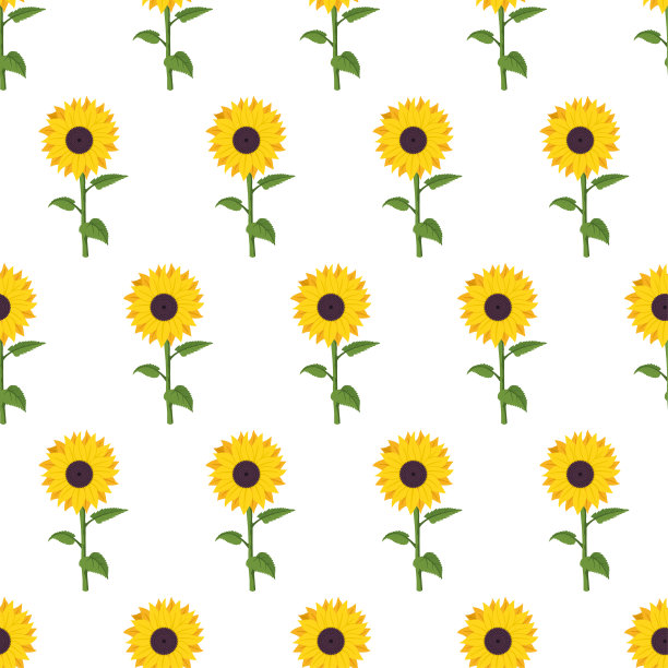 向日葵矢量卡通无缝图案上的白色背景。图片下载