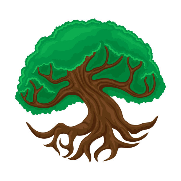 美丽的树有分支的根。图片下载