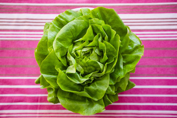 绿色生菜在粉红色桌布上直接从上面-库存照片图片下载