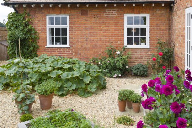 菜园英国图片下载