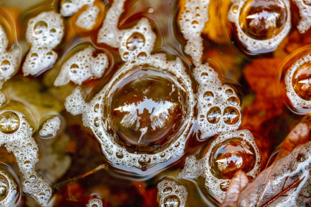 泡沫的问候图片下载