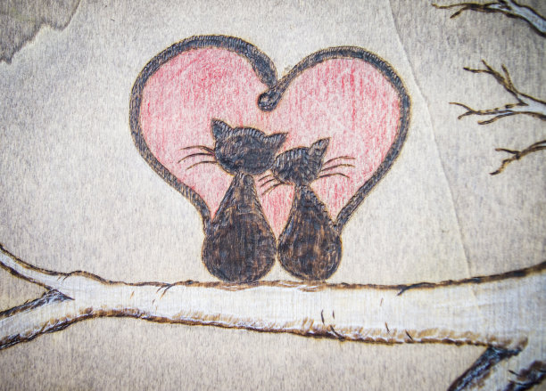 39、海盗船，猫和爱，心红图片下载