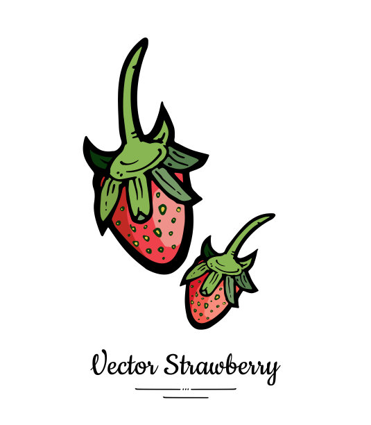 草莓向量孤立。红莓手绘插图。时尚食品素食菜单水果图标全草莓图片下载