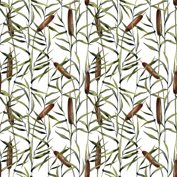 水彩芦苇无缝图案，手绘在一个白色的背景图片下载