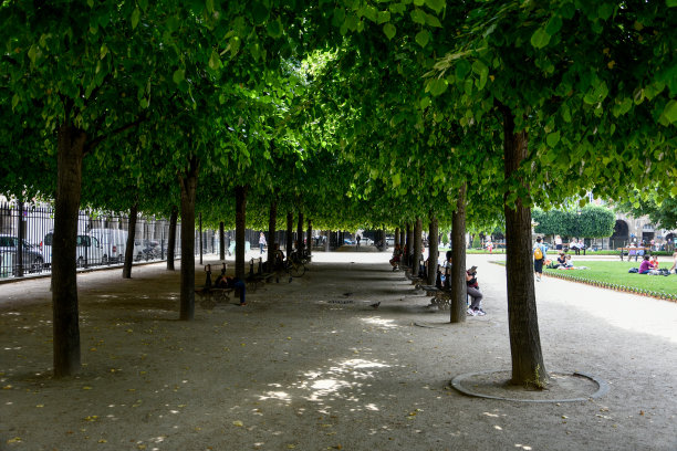 巴黎和它的纪念碑，法国的首都在夏天。孚日的地方图片下载