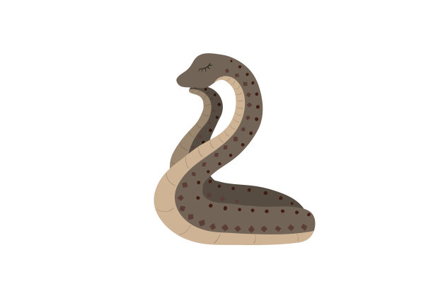 白色背景上的可爱的灰色蛇。图片下载