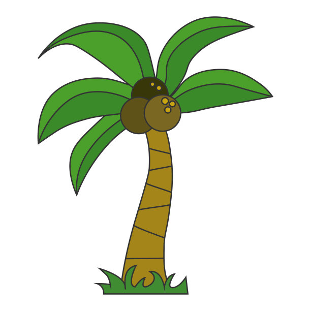 椰子树图片下载