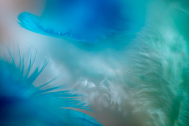 柔和的蓝色背景图片下载