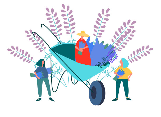 女人采摘薰衣草矢量插图图片下载