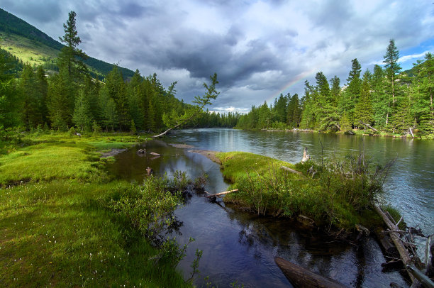 森林河与绿色海岸。素材图片