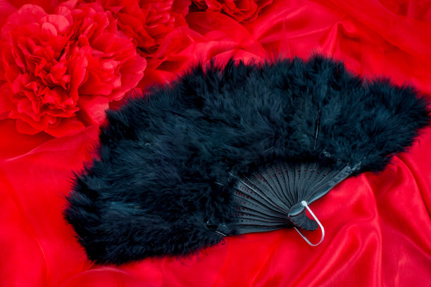 美丽的白色玫瑰花束在性感的红色背景与网和文字空间图片下载