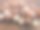 澳洲nuts1图片下载