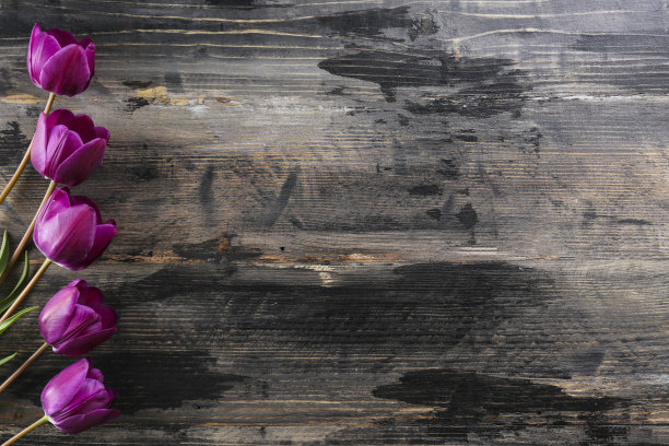 一束美丽的春天鲜花，适合各种节日场合。图片下载