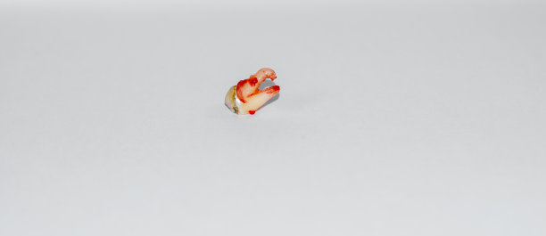白色背景上的血腥牙齿图片下载