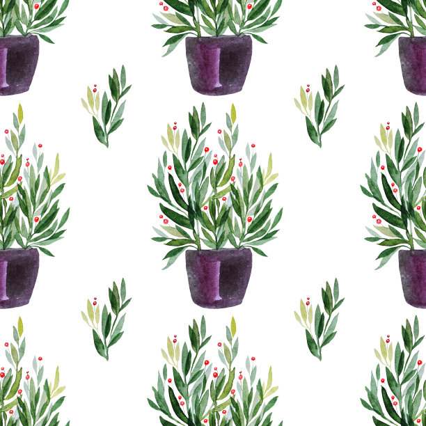 无缝模式水彩植物盆栽孤立在白色背景素材图片