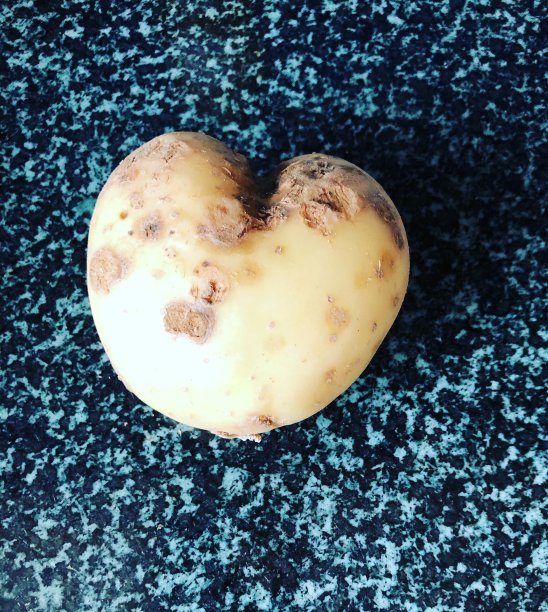 画中的生活图片下载