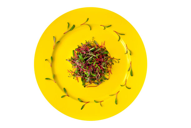 健康食品理念，绿色甜菜芽沙拉。绿苗蔬菜沙拉在盘子里。平铺，俯视图，拷贝空间图片下载