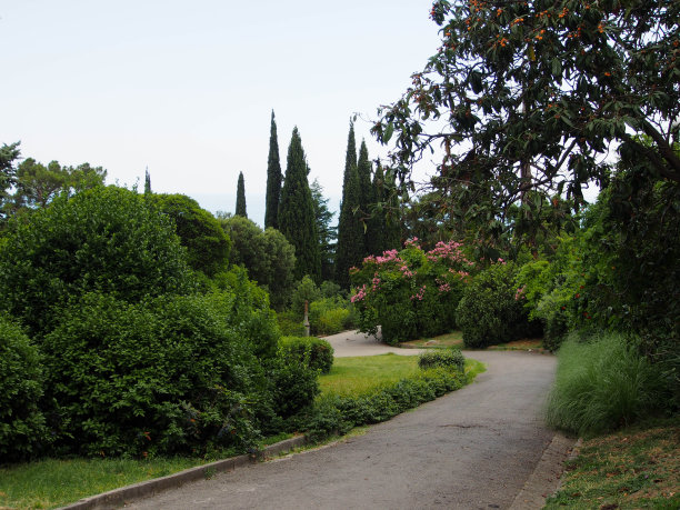 公园和花园区域的设计解决方案概念。图片下载