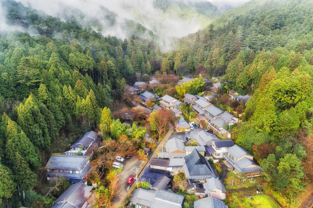 大原村尽头的森林图片下载