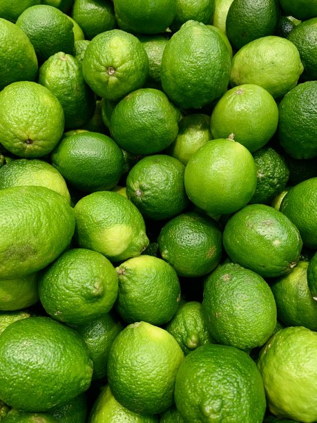 绿色的酸橙图片下载