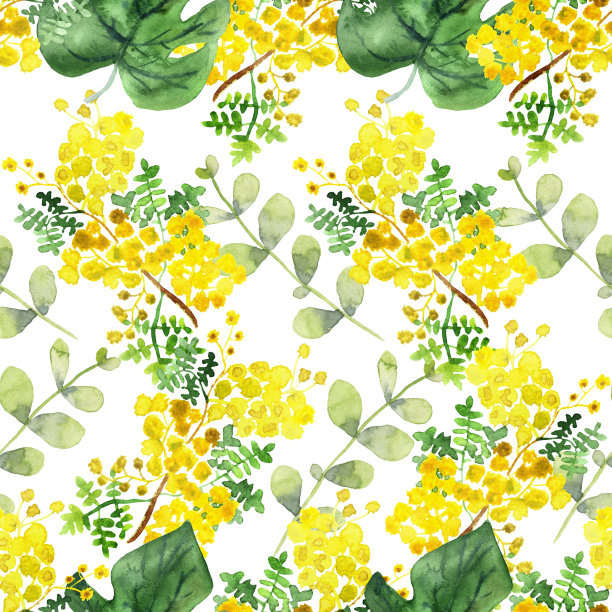水彩手绘自然草甸花卉无缝图案与黄色的金合欢和毛茛花的花朵和绿色的桉树热带树叶在树枝上的白色背景图片下载