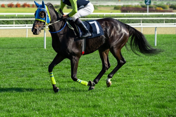 这匹马正在奔向终点图片下载