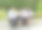 亚洲学生在大学里用平板电脑做作业，图片下载