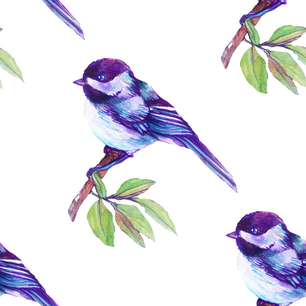 蓝色的鸟在树枝上孤立在白色。模式图片下载