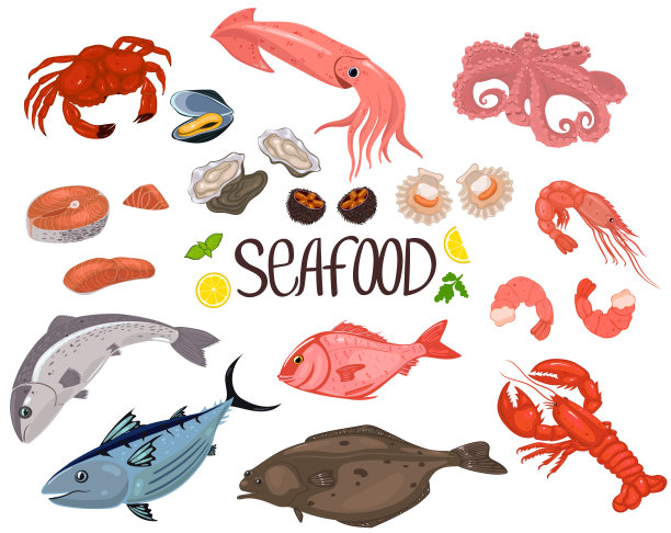 在白色背景下孤立的海产品。矢量图形。图片下载