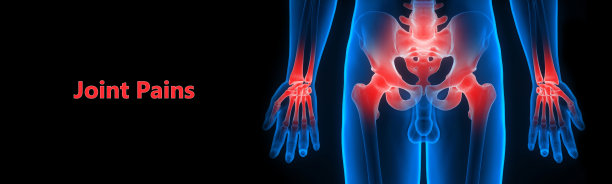 人体骨骼系统骨骼关节疼痛解剖学图片下载