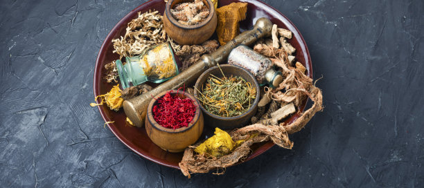 选择治疗药草图片下载