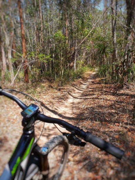 骑自行车图片下载