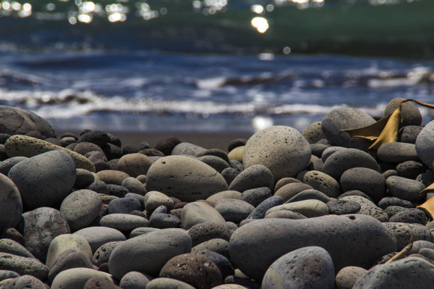 在大海前面图片下载