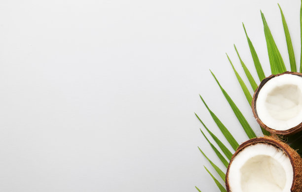 椰子和椰子块的灰色背景，俯视图，复制空间图片下载