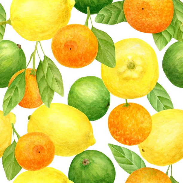水彩新鲜柠檬，橘子和酸橙无缝模式。手绘植物图说黄色，橙色和绿色柑橘类水果孤立在白色背景装饰，包装，纺织品。图片下载