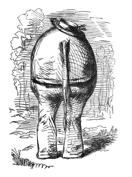 英国讽刺漫画漫画插图-背面的大象与一顶帽子在他的臀部图片下载