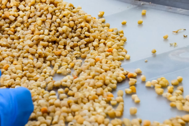 切成薄片的鱿鱼触手，戴着手套指指点点，图片下载