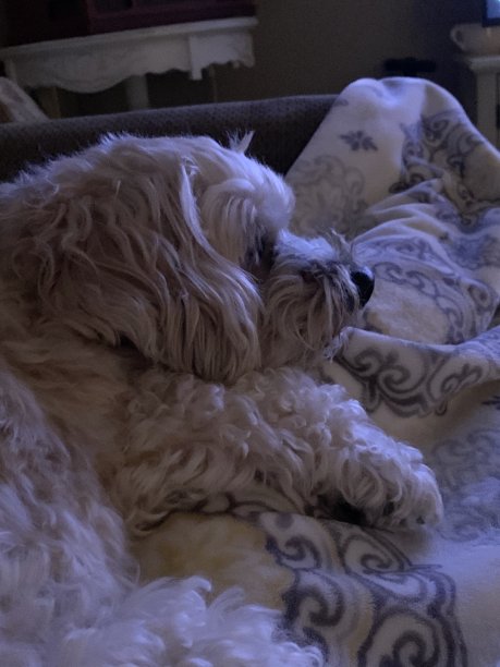 看电视图片下载