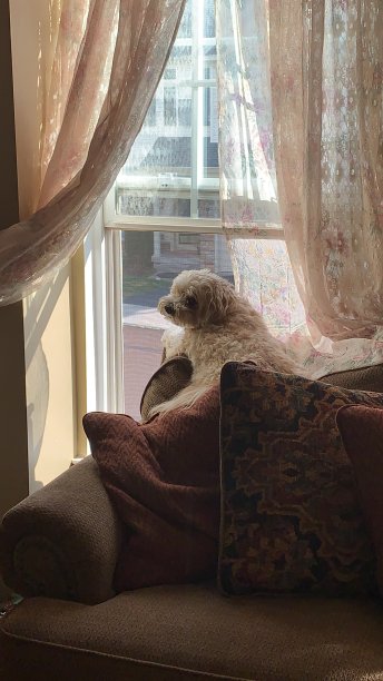 邻里守望图片下载