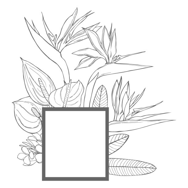 矢量框架与热带花。图片下载