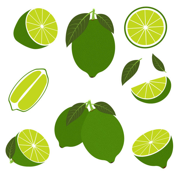 矢量石灰设置孤立的白色背景。图片下载