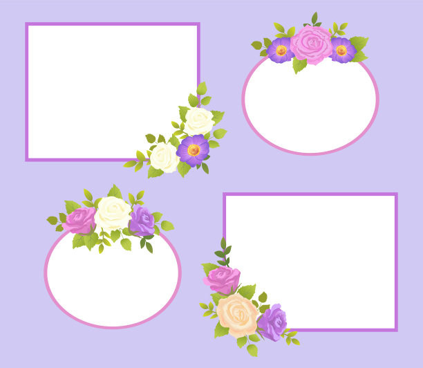 一套照片框架颜色玫瑰和雏菊花图片下载