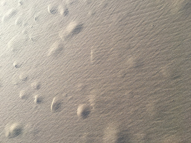 沙滩纹理中的线条和圆圈图案，蟹窝，抽象的背景概念图片下载