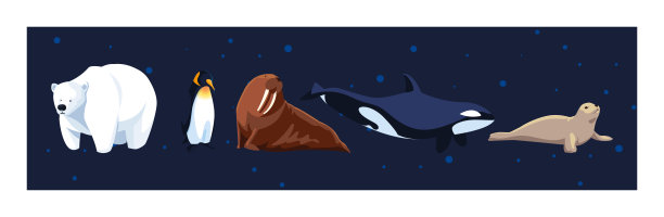 蓝色背景下的一组北极动物图片下载