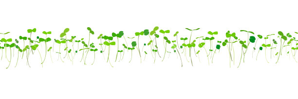 背景幼叶无缝隙幼苗图片下载